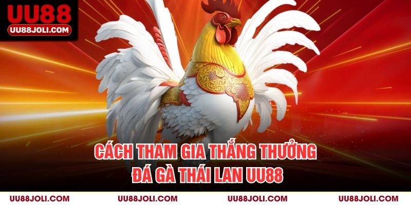 Cách Tham Gia Thắng Thưởng Đá Gà Thái Lan uu88
