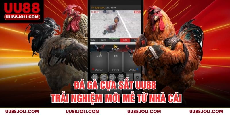 Đá Gà Cựa Sắt UU88 - Trải Nghiệm Mới Mẻ Từ Nhà Cái