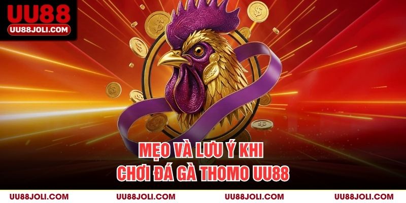 Mẹo và lưu ý khi chơi đá gà thomo uu88
